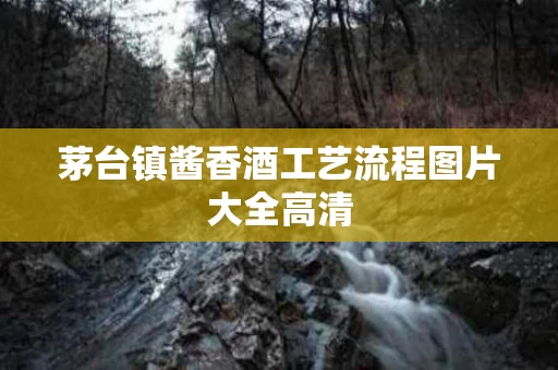 茅台镇酱香酒工艺流程图片大全高清