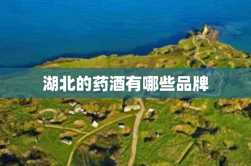 湖北的药酒有哪些品牌