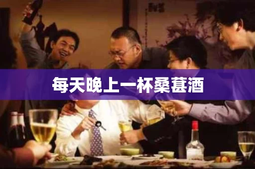 每天晚上一杯桑葚酒