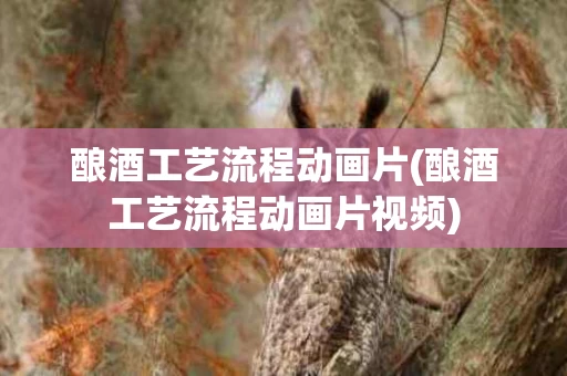 酿酒工艺流程动画片(酿酒工艺流程动画片视频)