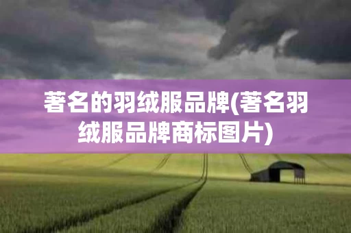 著名的羽绒服品牌(著名羽绒服品牌商标图片)