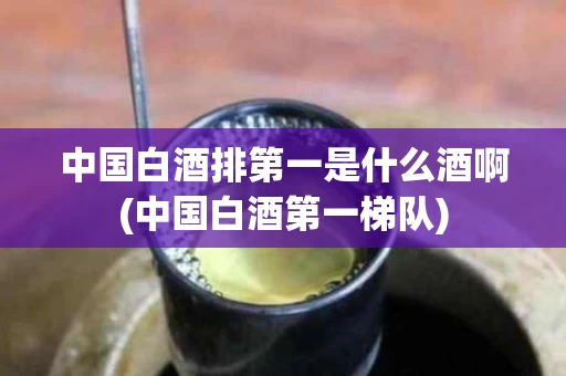 中国白酒排第一是什么酒啊(中国白酒第一梯队)
