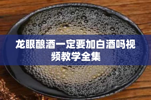 龙眼酿酒一定要加白酒吗视频教学全集