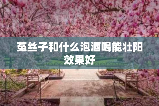 菟丝子和什么泡酒喝能壮阳效果好