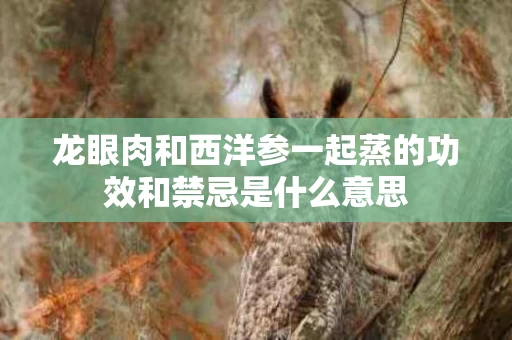 龙眼肉和西洋参一起蒸的功效和禁忌是什么意思