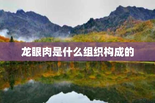 龙眼肉是什么组织构成的
