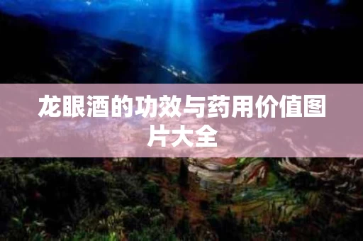 龙眼酒的功效与药用价值图片大全