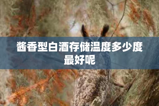 酱香型白酒存储温度多少度最好呢