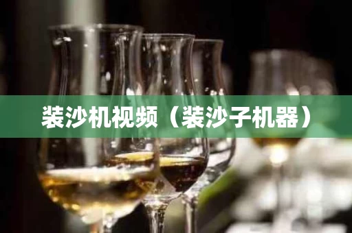 装沙机视频（装沙子机器）