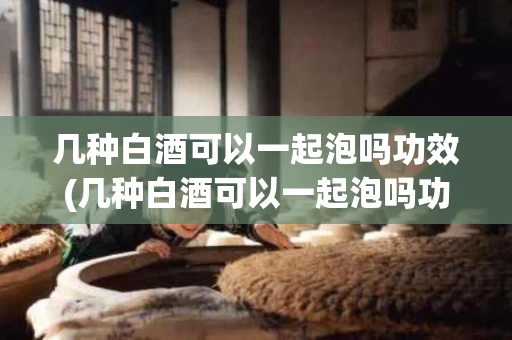 几种白酒可以一起泡吗功效(几种白酒可以一起泡吗功效与作用)
