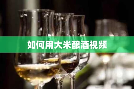 如何用大米酿酒视频