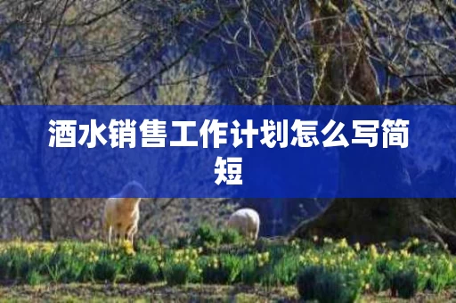 酒水销售工作计划怎么写简短