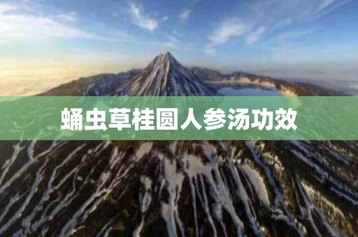 蛹虫草桂圆人参汤功效