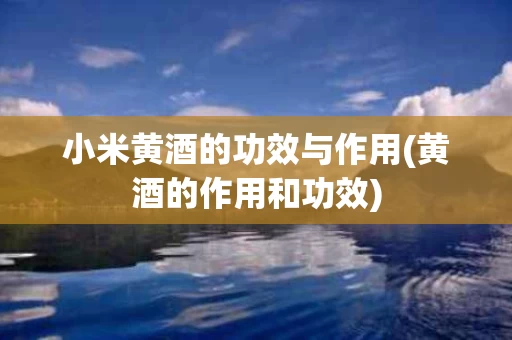 小米黄酒的功效与作用(黄酒的作用和功效)