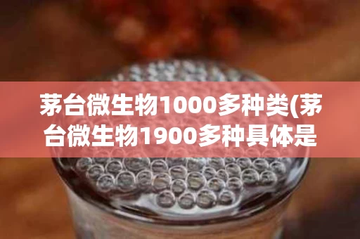 茅台微生物1000多种类(茅台微生物1900多种具体是)