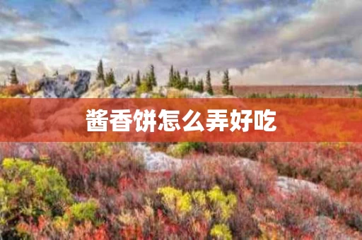酱香饼怎么弄好吃
