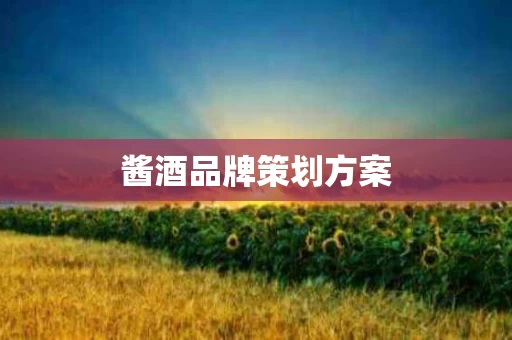 酱酒品牌策划方案