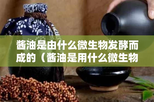 酱油是由什么微生物发酵而成的（酱油是用什么微生物酿造出来的）