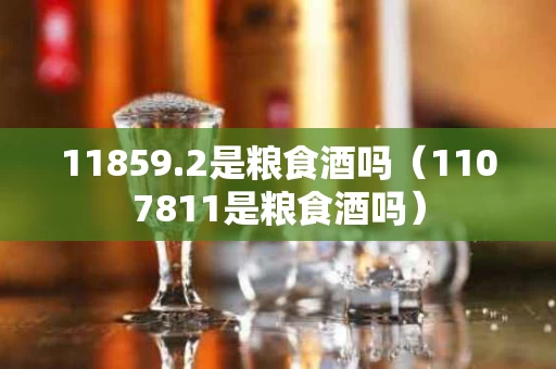 11859.2是粮食酒吗（1107811是粮食酒吗）