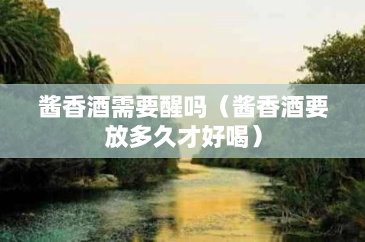 酱香酒需要醒吗（酱香酒要放多久才好喝）