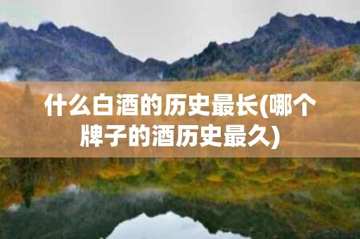 什么白酒的历史最长(哪个牌子的酒历史最久)