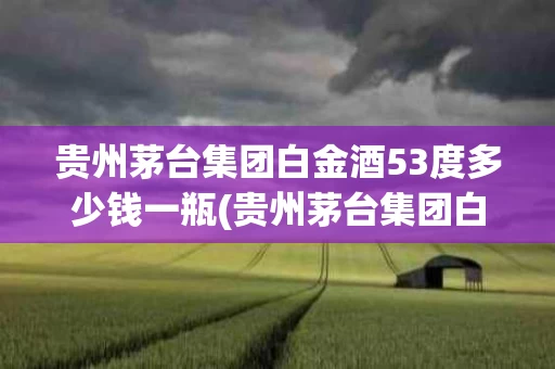 贵州茅台集团白金酒53度多少钱一瓶(贵州茅台集团白金酒有限责任公司所有产品价格)