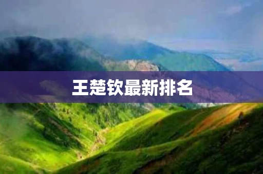 王楚钦最新排名