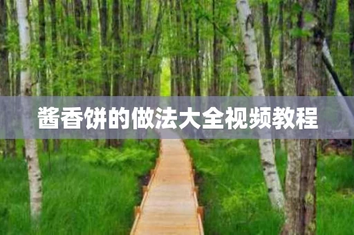 酱香饼的做法大全视频教程