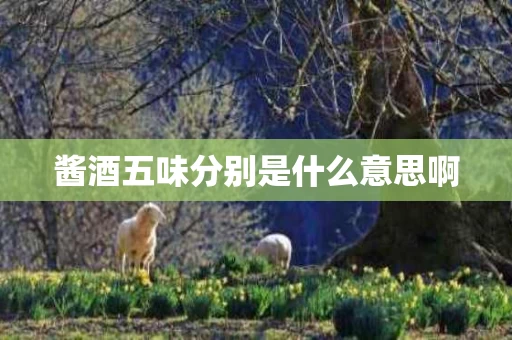 酱酒五味分别是什么意思啊