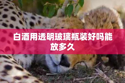 白酒用透明玻璃瓶装好吗能放多久