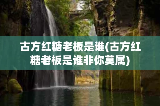 古方红糖老板是谁(古方红糖老板是谁非你莫属)