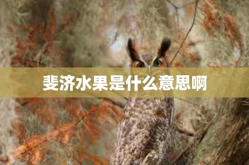 斐济水果是什么意思啊