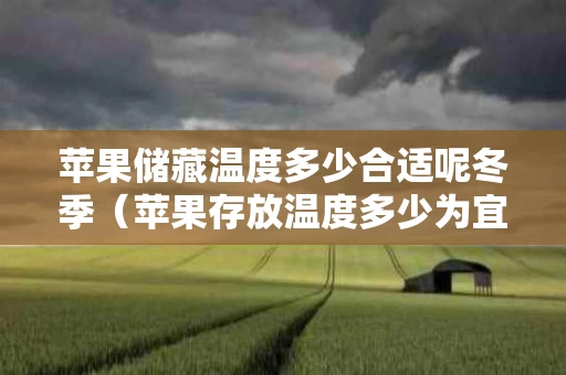 苹果储藏温度多少合适呢冬季（苹果存放温度多少为宜）