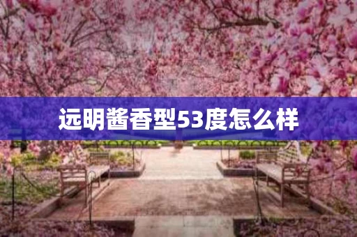 远明酱香型53度怎么样