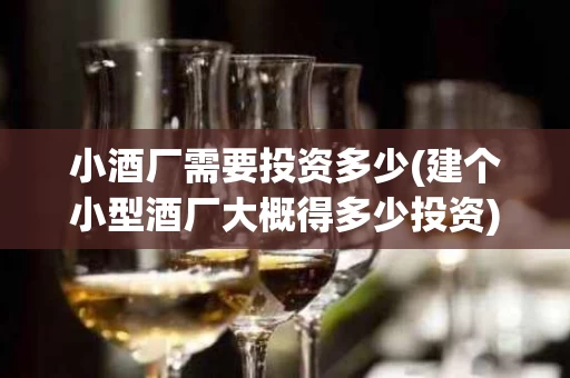 小酒厂需要投资多少(建个小型酒厂大概得多少投资)