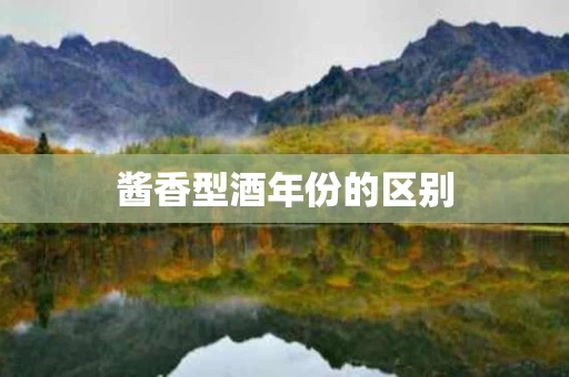 酱香型酒年份的区别