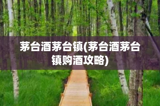 茅台酒茅台镇(茅台酒茅台镇购酒攻略)
