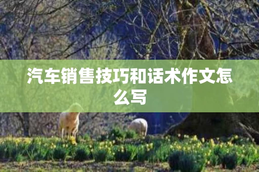汽车销售技巧和话术作文怎么写