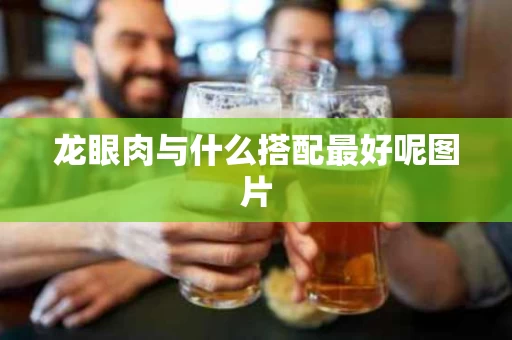 龙眼肉与什么搭配最好呢图片