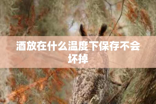 酒放在什么温度下保存不会坏掉