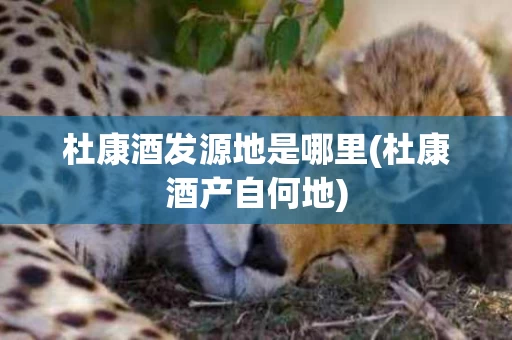 杜康酒发源地是哪里(杜康酒产自何地)