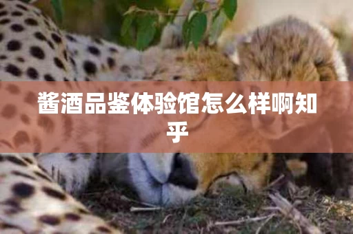 酱酒品鉴体验馆怎么样啊知乎