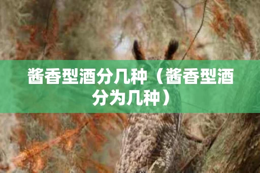 酱香型酒分几种（酱香型酒分为几种）