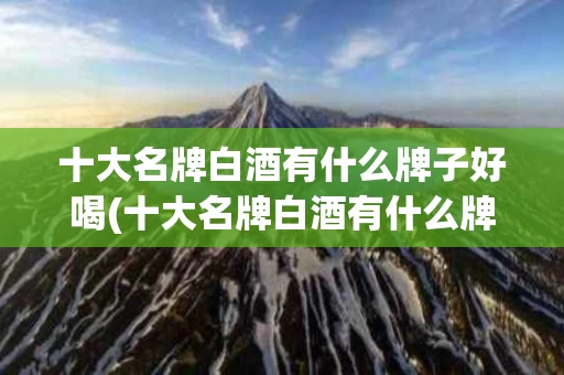 十大名牌白酒有什么牌子好喝(十大名牌白酒有什么牌子好喝的)