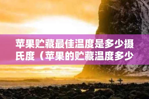 苹果贮藏最佳温度是多少摄氏度（苹果的贮藏温度多少）