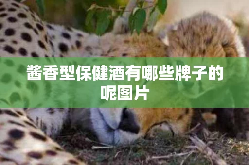 酱香型保健酒有哪些牌子的呢图片
