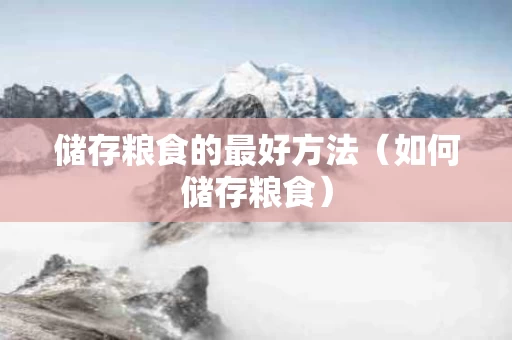 储存粮食的最好方法（如何储存粮食）