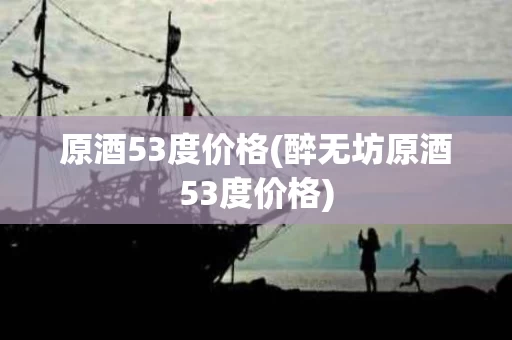 原酒53度价格(醉无坊原酒53度价格)