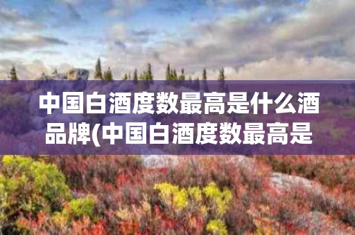 中国白酒度数最高是什么酒品牌(中国白酒度数最高是什么酒品牌的)