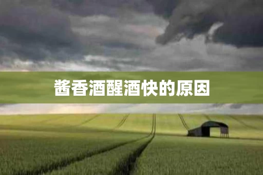 酱香酒醒酒快的原因